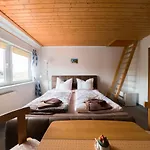 Dalina Pensjonat 3*